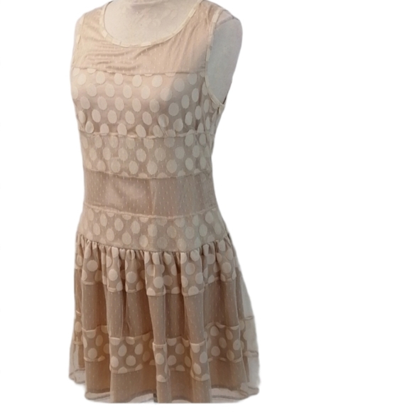 A'reve Polka Dot Lace Cream Dress as Mediu… - Picture 10 of 13